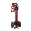 IBFPL1