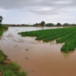Dana en españa